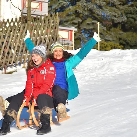 布特斯豪斯厄布格米赫特酒店 酒店 3*