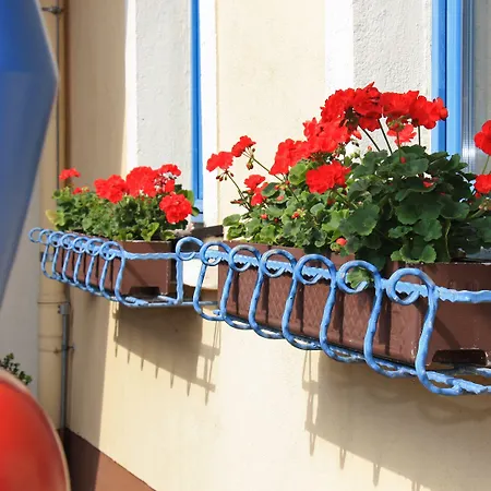 布特斯豪斯厄布格米赫特酒店