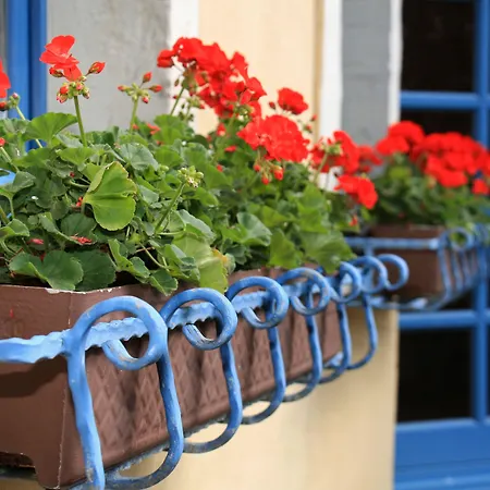 Отель Erbgericht Buntes Haus