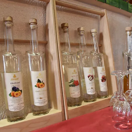 Erbgericht Buntes Haus 3* Зайфен