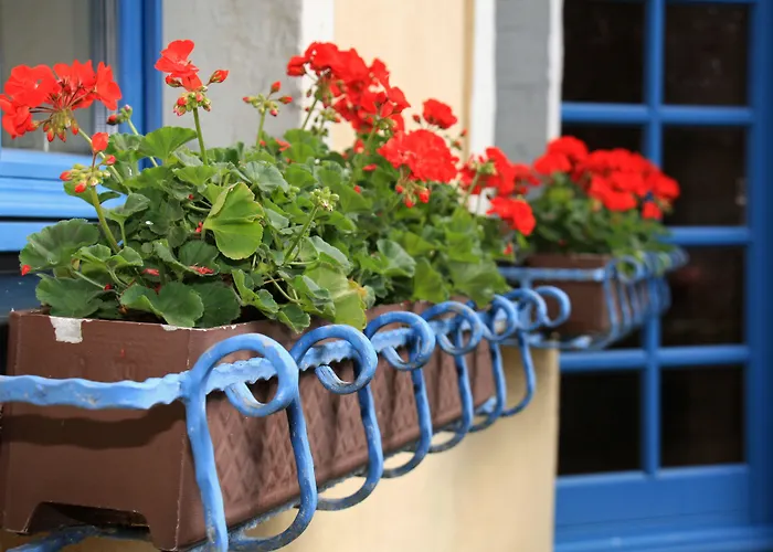 Ξενοδοχείο Erbgericht Buntes Haus